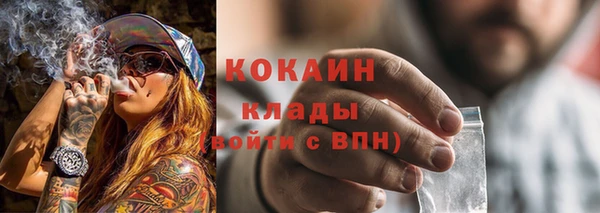 сатива Иннополис