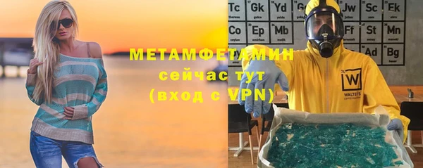 стаф Каменногорск