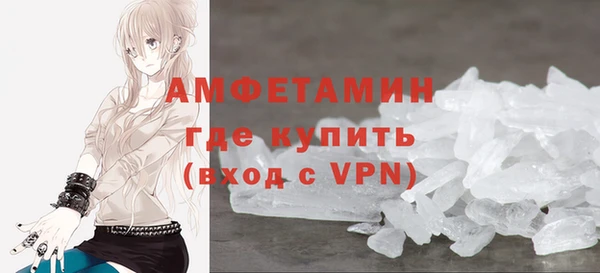 сатива Иннополис