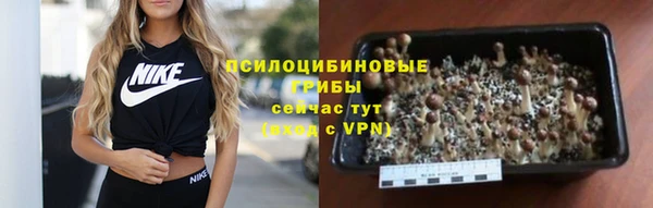 метамфетамин Инта