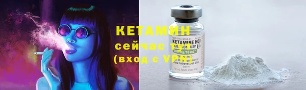 стаф Каменногорск