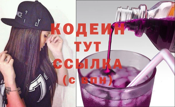 сатива Иннополис