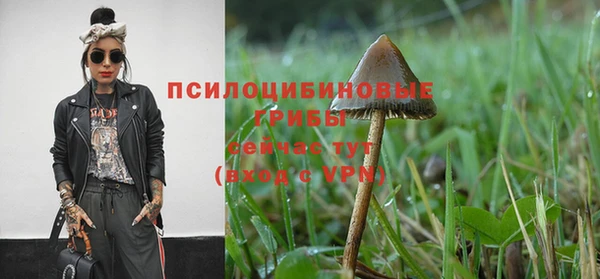 скорость Инсар