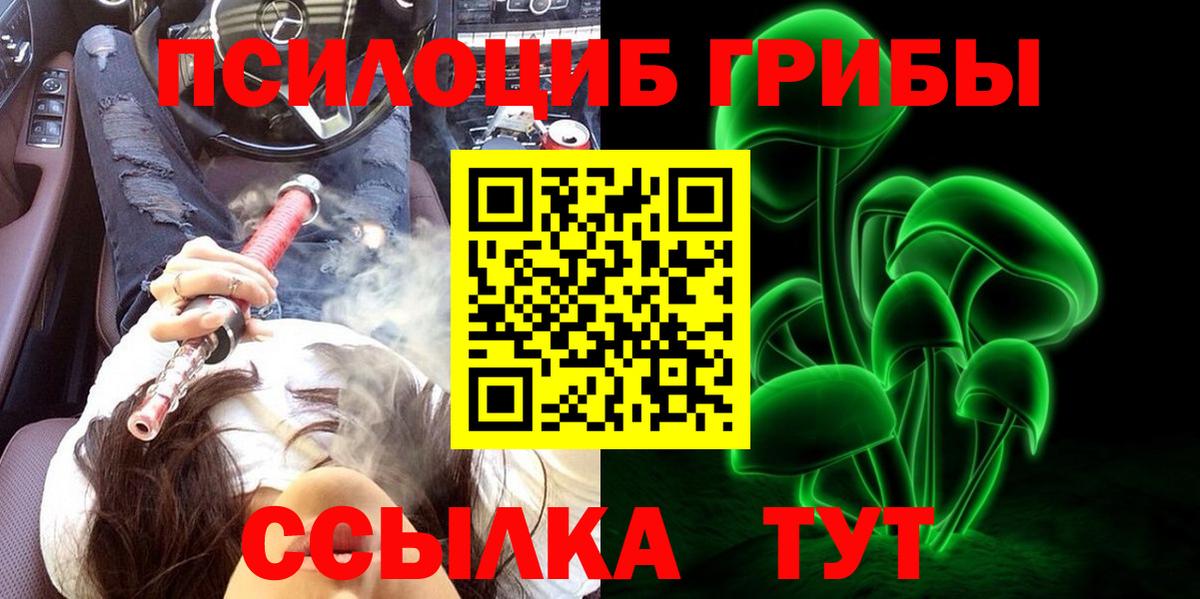 Галлюциногенные грибы Cubensis  Северодвинск 