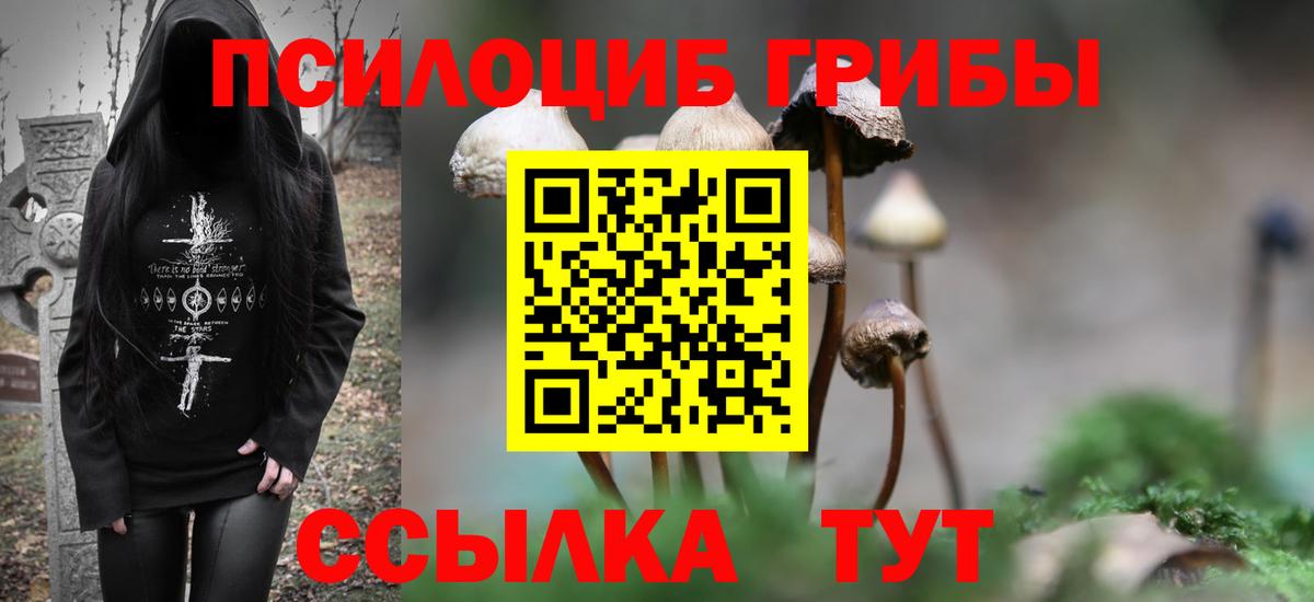 Северодвинск  Псилоцибиновые грибы Magic Shrooms  Вход с VPN 